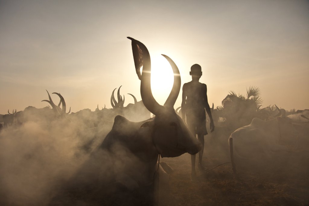 VSF Suisse, South&nbsp;Sudan